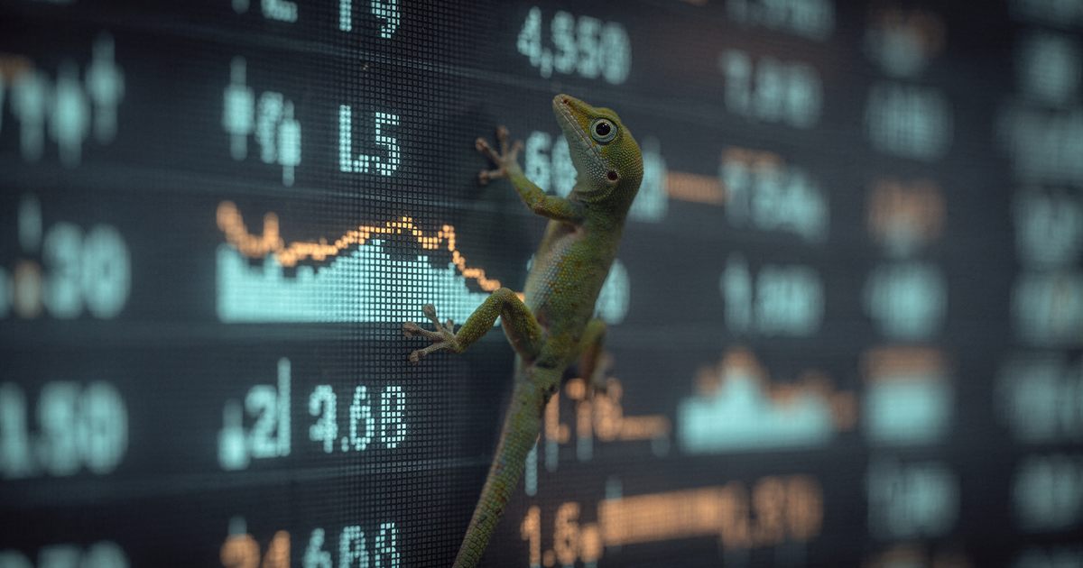 A gecko climbing a wall of glowing crypto market data screens