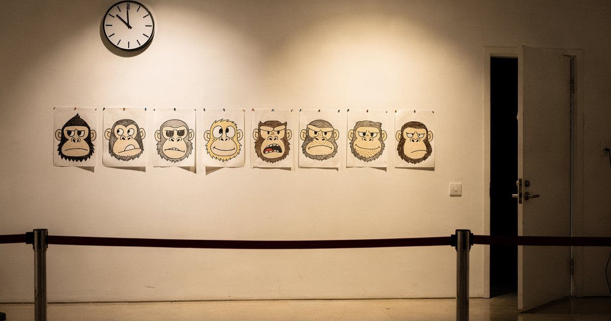 Hand-drawn ape portraits pinned on a gallery wall behind a velvet rope, a clock near midnight and a door closing