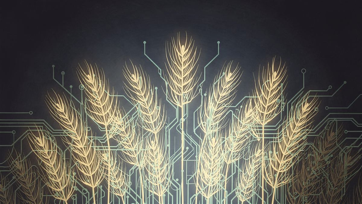 Abstract illustration of a glowing growth pattern